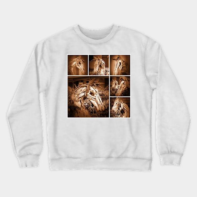 HORSES HEAD HANDLE POEM (ALBERT and the LION) Crewneck Sweatshirt by mister-john